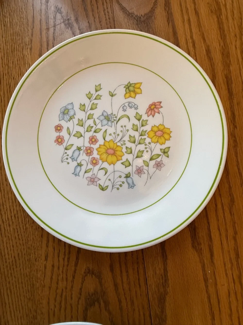Vintage Corelle 3 Dinner Plates and 3 dessert plates Set - spring meadow - Picture 17 of 17